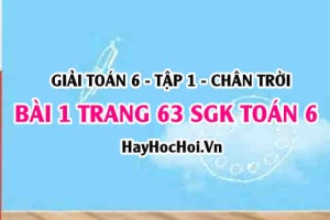 Giải bài 1 trang 63 Toán 6 Tập 1 SGK Chân trời sáng tạo